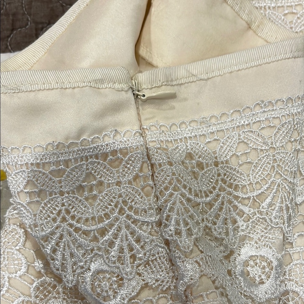 Sans Souci Cream Lace Shorts - Picture 6 of 11